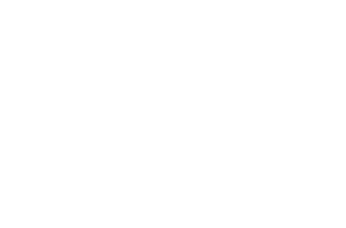 Main Street Commercial Partners